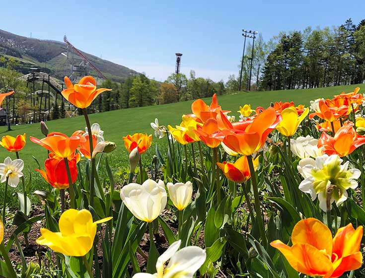 Spring Barcelona