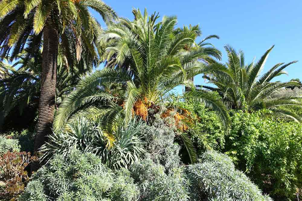 Garden Barcelona