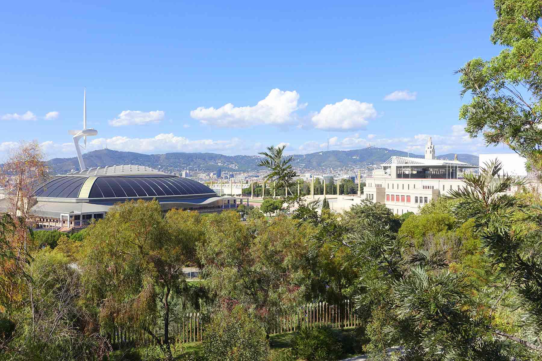 Jardin Botanico Barcelona